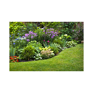 Gardening